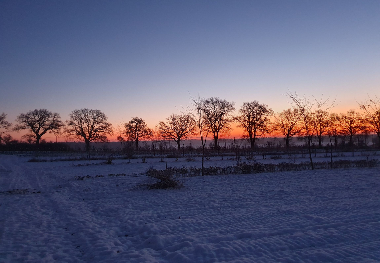 Feld im Winter mit Schnee bei Sonnenuntergang