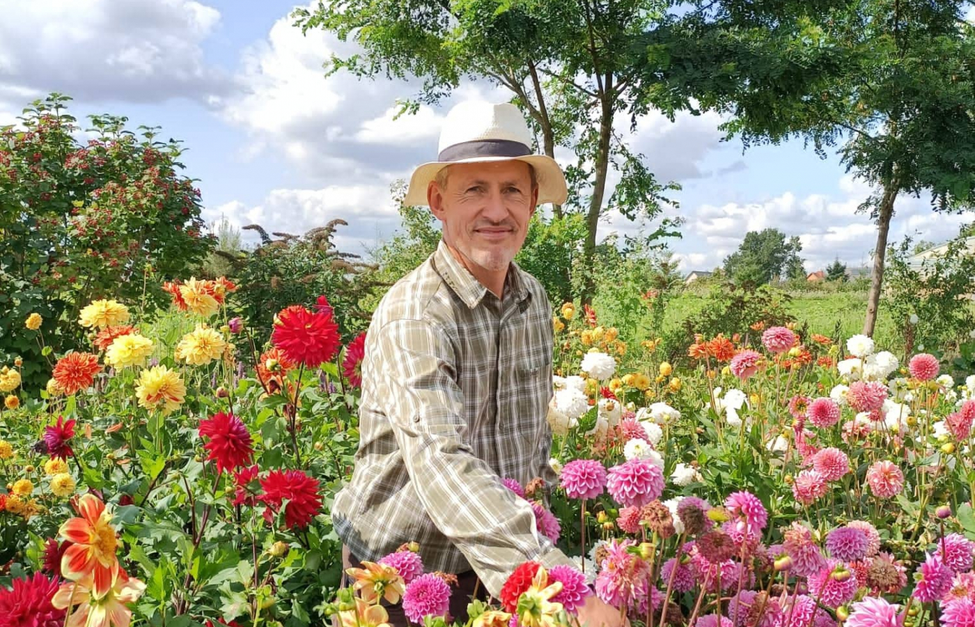 Mensch im Blumenfeld